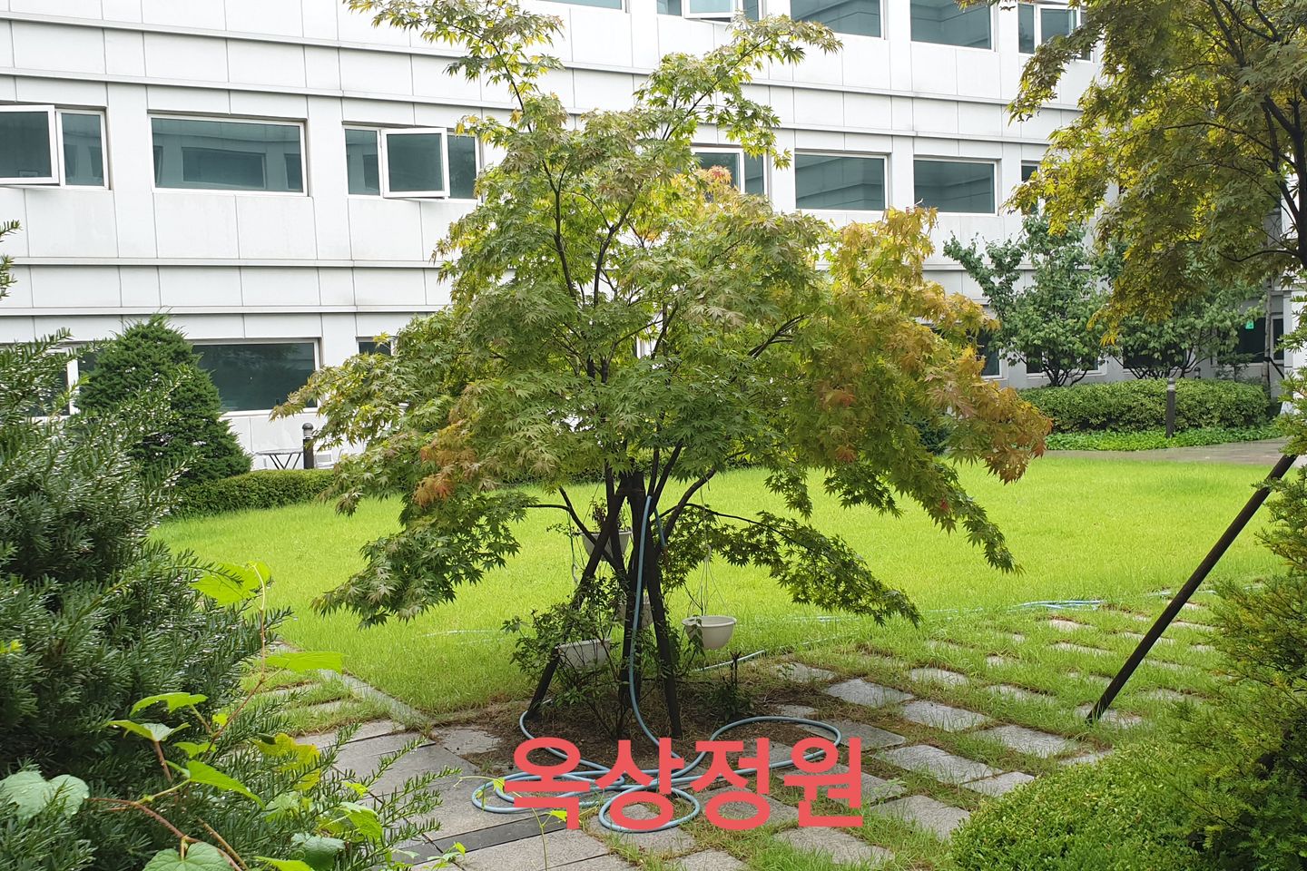 🏡Pangyo Terrace Garden Room 4th image
