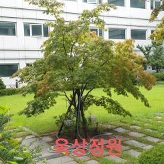 판교출장/테라스 가든룸 방 이미지