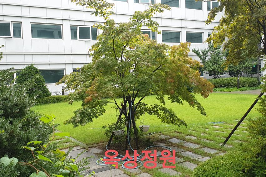 🏡판교 테라스 가든룸