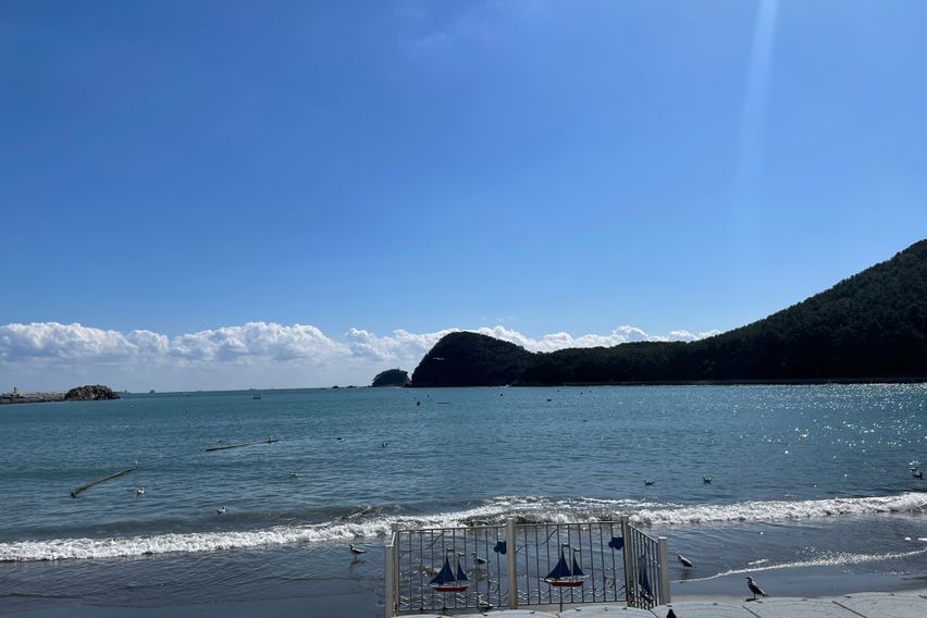 🎄다대포 오션뷰 감성🎄