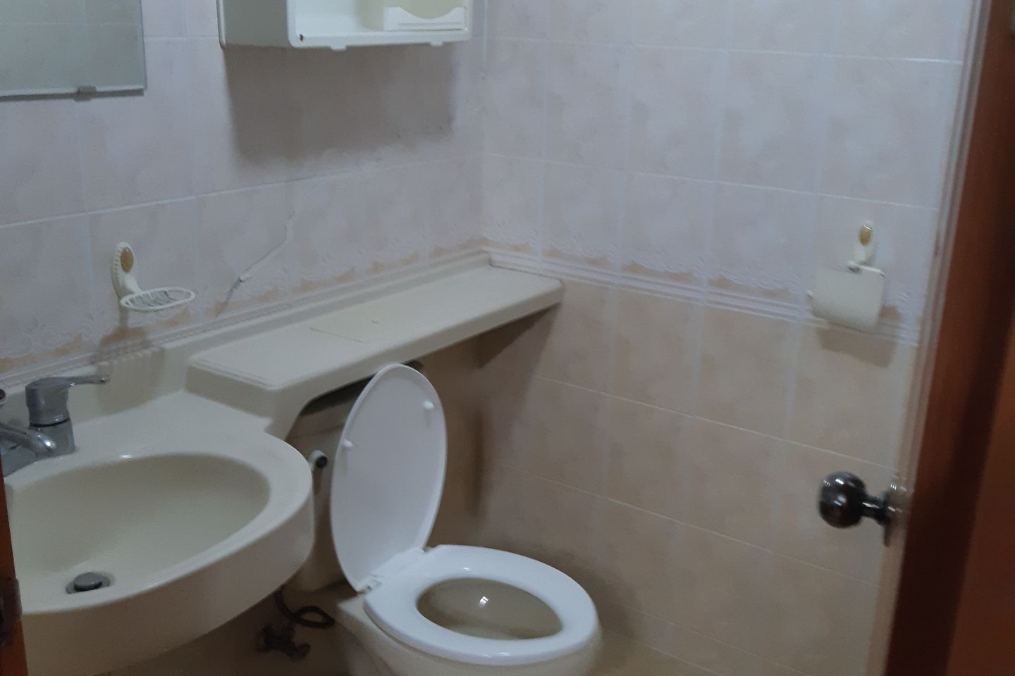 Gusiul Studio Apartment, Semi-Basement 5th image