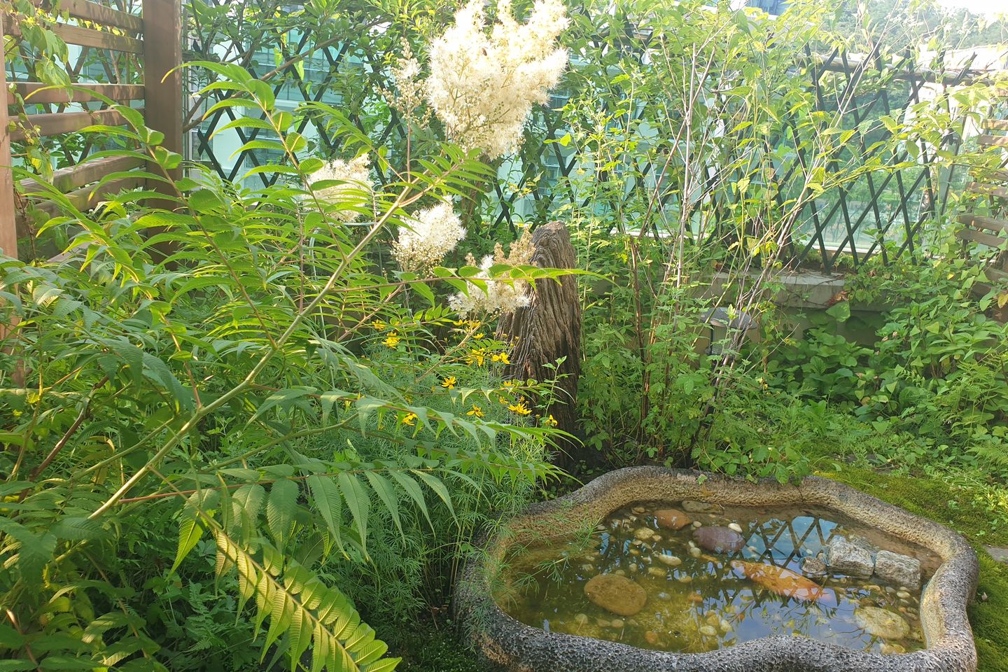 Pangyo Business Trip / Terrace Garden Room 4th image