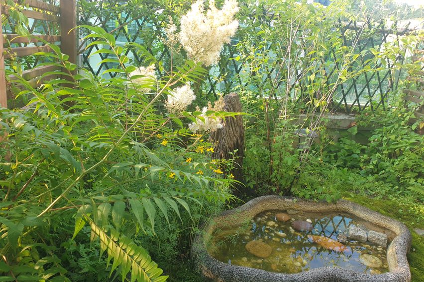 판교출장/테라스 가든룸