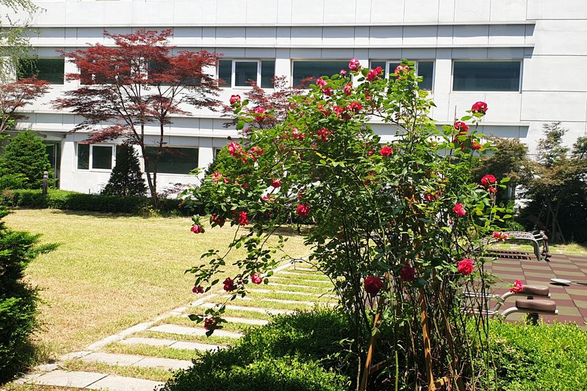 Pangyo Business Trip/Terrace Garden Room 12th image