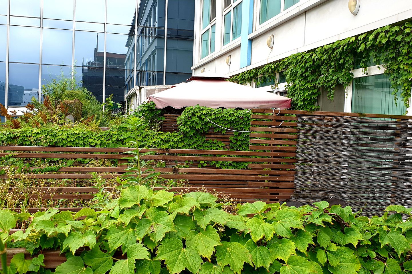 🏡Pangyo Terrace Garden Room 3th image