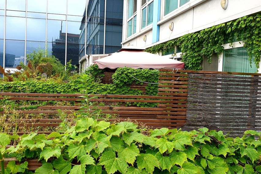 🏡판교 테라스 가든룸