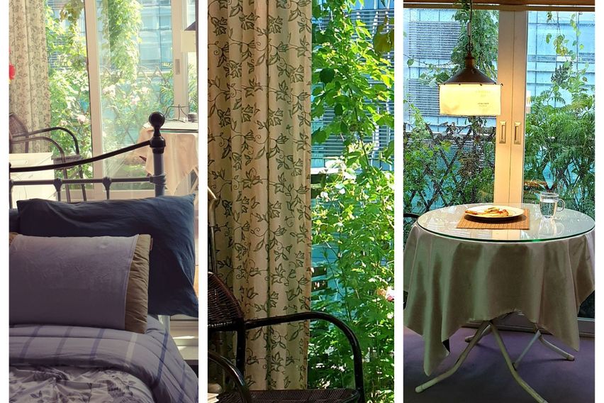 🏡판교 테라스 가든룸