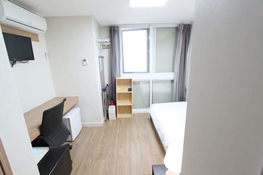 데이빗 풀옵션 단기