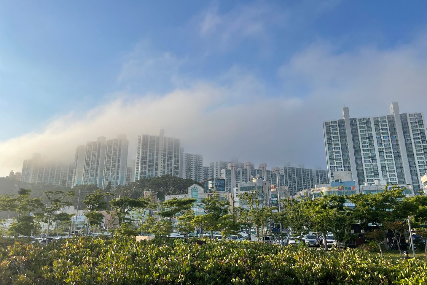 🌸Dadaepo Ocean View Vibes🌸 10th image