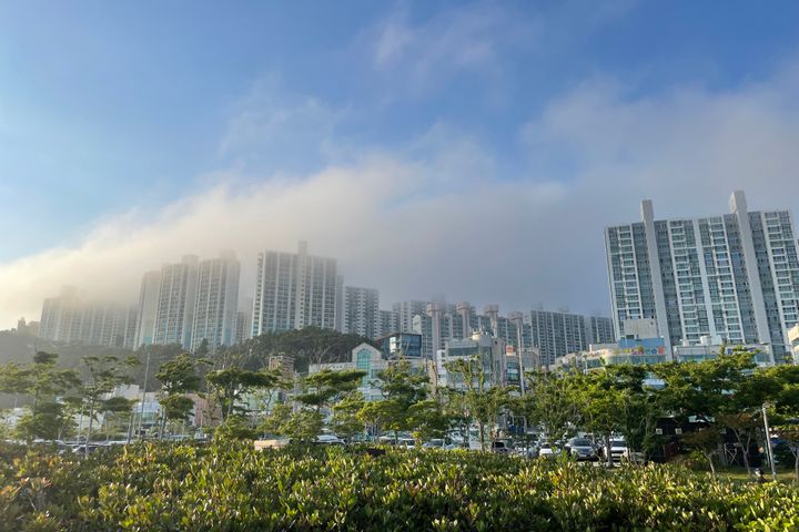 🌸다대포 오션뷰 감성🌸 10번째 이미지