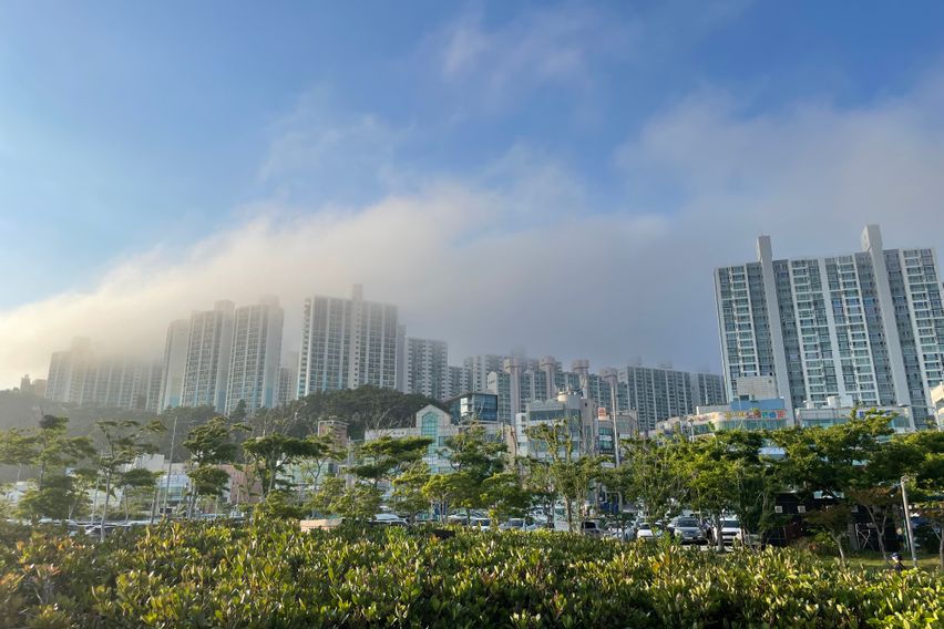 🎄다대포 오션뷰 감성🎄