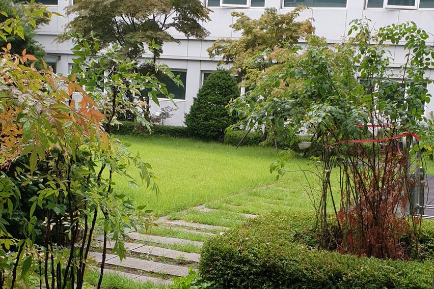 판교출장/테라스 가든룸