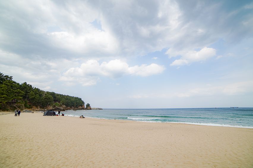 동해여행 행복을 담다