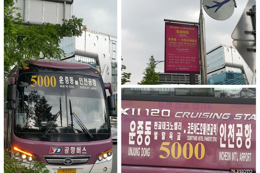 🏡판교 테라스 가든룸