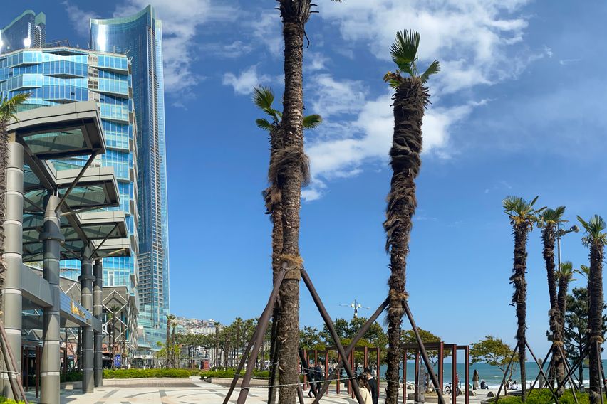 해운대해변까지10초 10번째 이미지