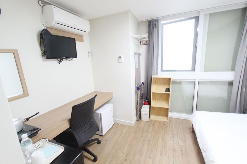 데이빗 풀옵션 단기