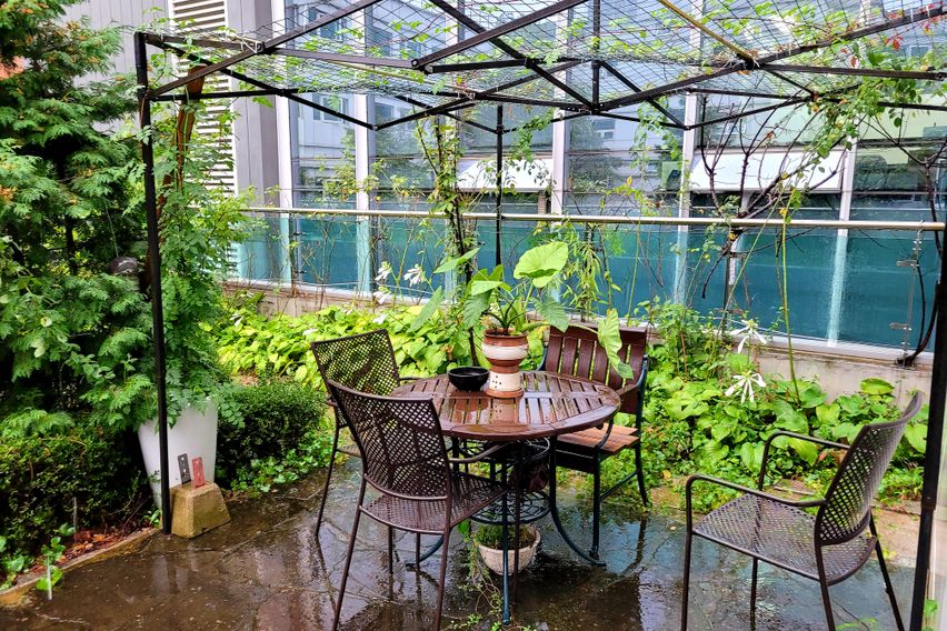 판교출장/테라스 가든룸