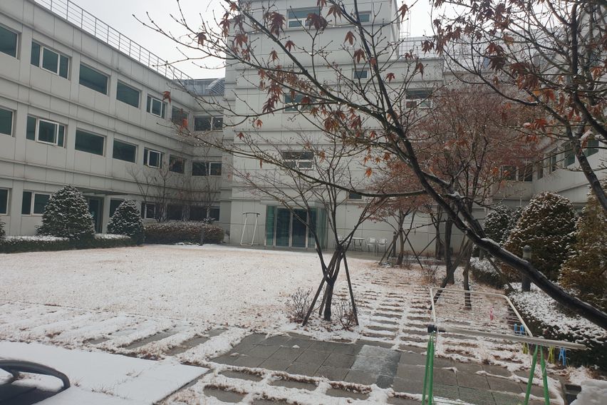 🏡판교 테라스 가든룸