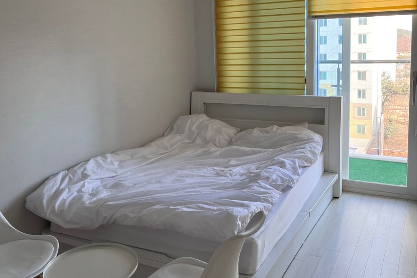 영종도신축반려동물동반0