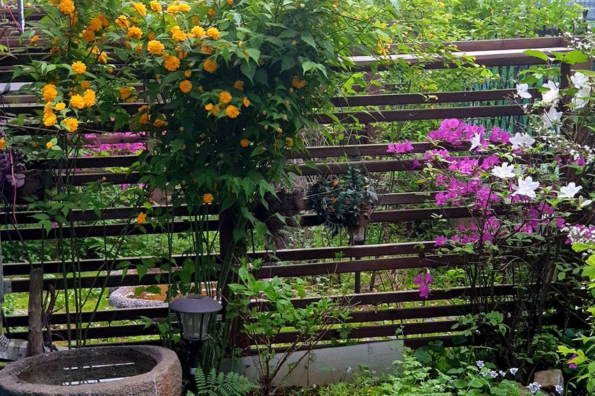 Pangyo Business Trip/Terrace Garden Room 10th image