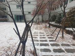 판교출장/테라스 가든룸 16번째 이미지