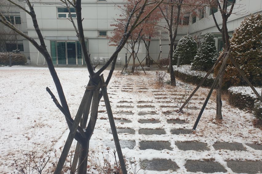 Pangyo Business Trip/Terrace Garden Room 16th image