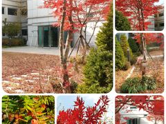 🏡Pangyo Terrace Garden Room 14th image