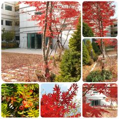 🏡판교 테라스 가든룸 방 이미지