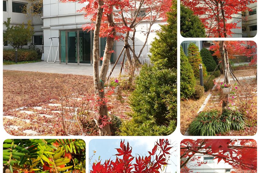 🏡판교 테라스 가든룸