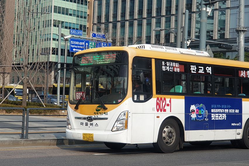 🏡판교 테라스 가든룸