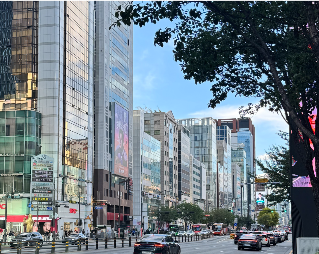 Living Guide in Gangnam for Foreigners: What It's Actually Like