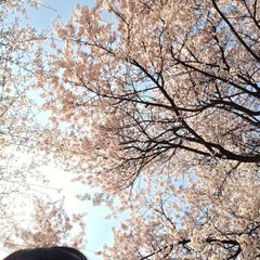 김지형 임대인의 프로필 이미지