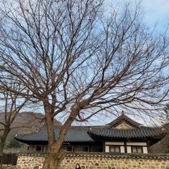 susu 임대인의 프로필 이미지