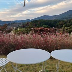 권춘기 임대인의 프로필 이미지