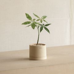 박화원 임대인의 프로필 이미지