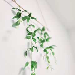 백형순 임대인의 프로필 이미지