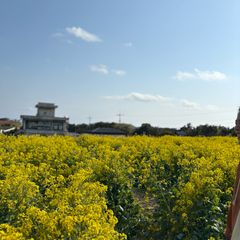 박선영 Landlord's Profile Image