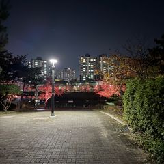 무드밤 임대인의 프로필 이미지