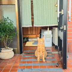 OO Landlord's Profile Image