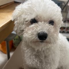 매니저 달래 Landlord's Profile Image