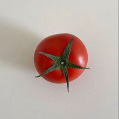 pie 임대인의 프로필 이미지