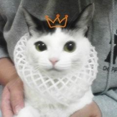 이정은 임대인의 프로필 이미지