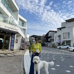 유은자 임대인의 프로필 이미지