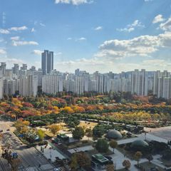 STAY.DI 임대인의 프로필 이미지