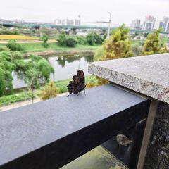 홍정현 임대인의 프로필 이미지