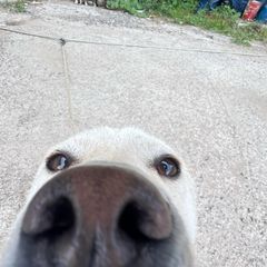박정한 Landlord's Profile Image