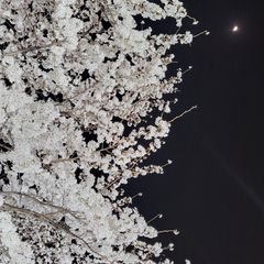 우 임대인의 프로필 이미지