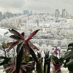 문주영 임대인의 프로필 이미지