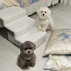 이지수 임대인의 프로필 이미지