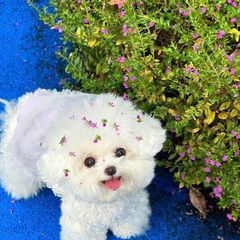 김민경 Landlord's Profile Image